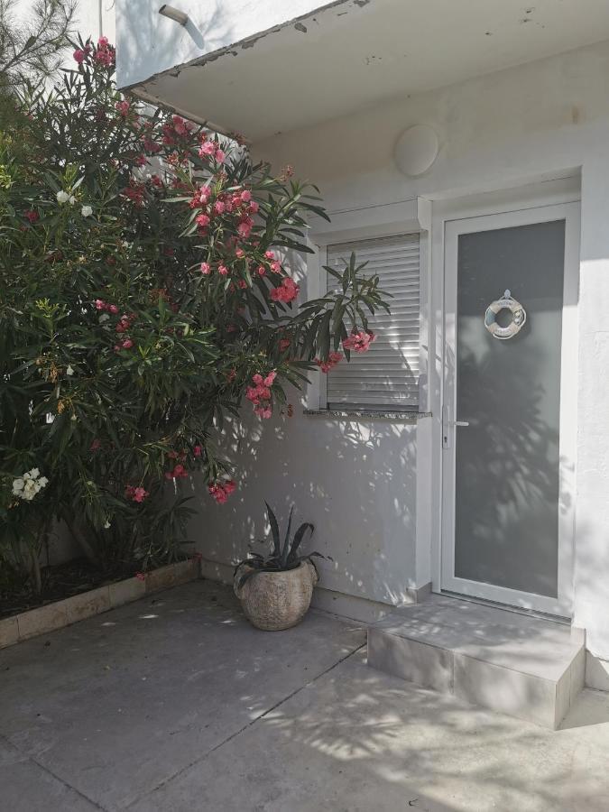 Denx Apartman